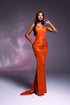 Renelle - straight neckline dress with metallic buckles